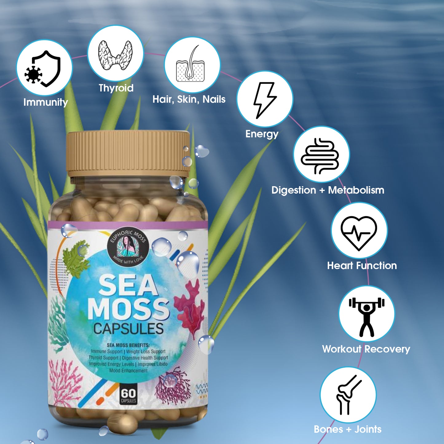 Vegan Sea Moss Capsules