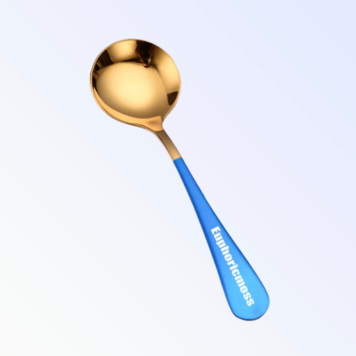 Stainless Steel Spoon