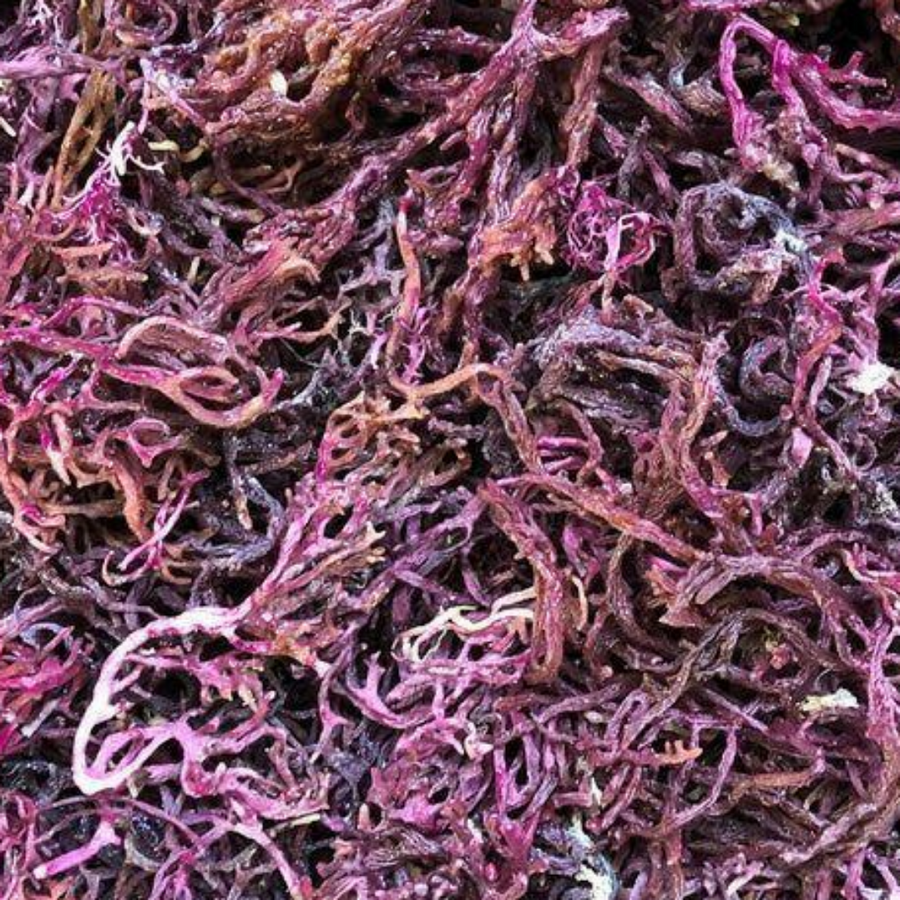 Wholesale Sea Moss