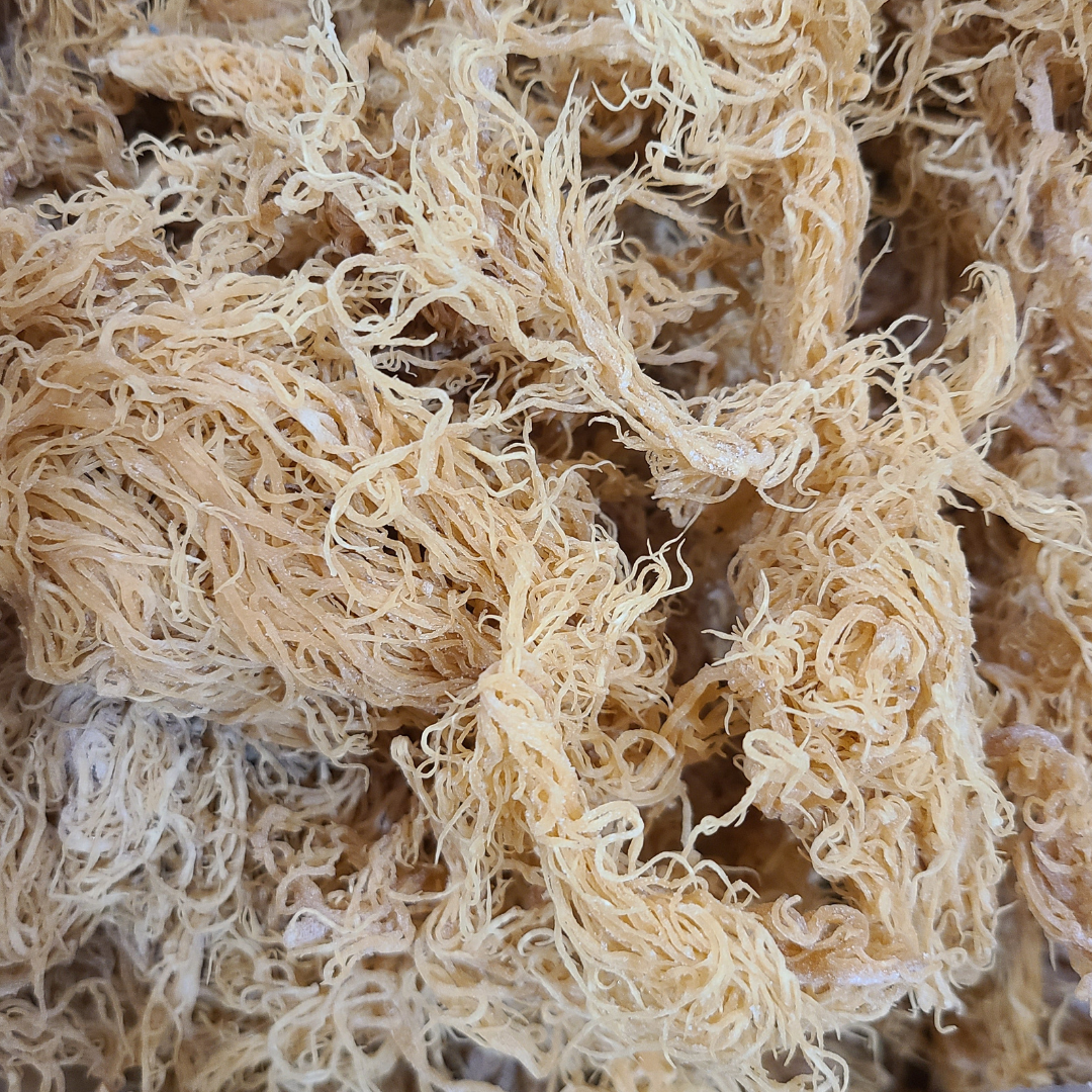 Wholesale Sea Moss