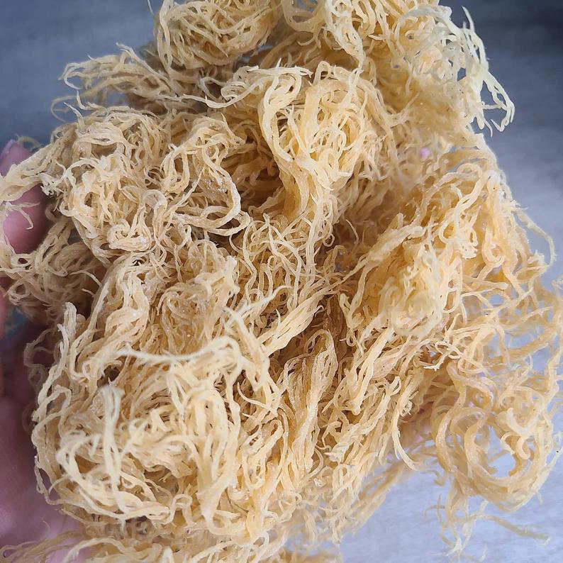 St Lucia Wildcrafted Sea moss