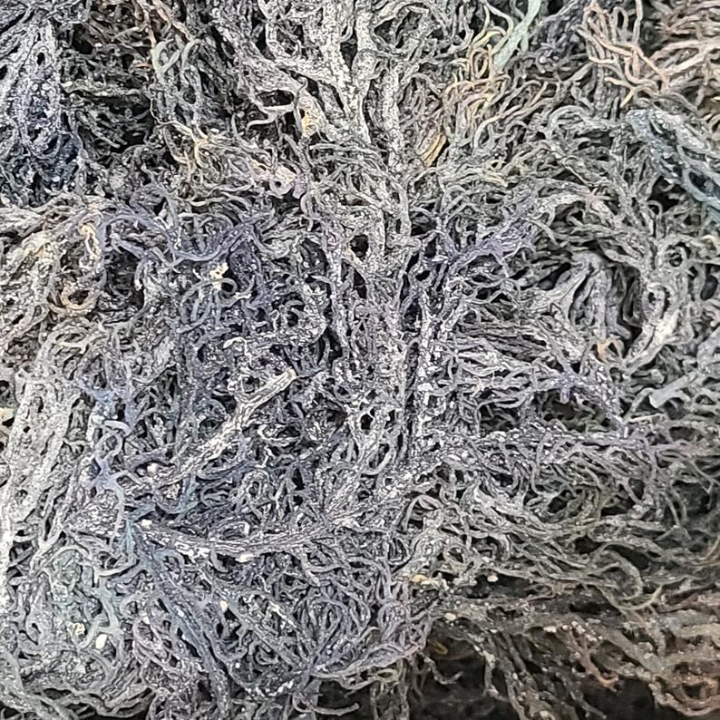 St Lucia Wildcrafted Sea moss
