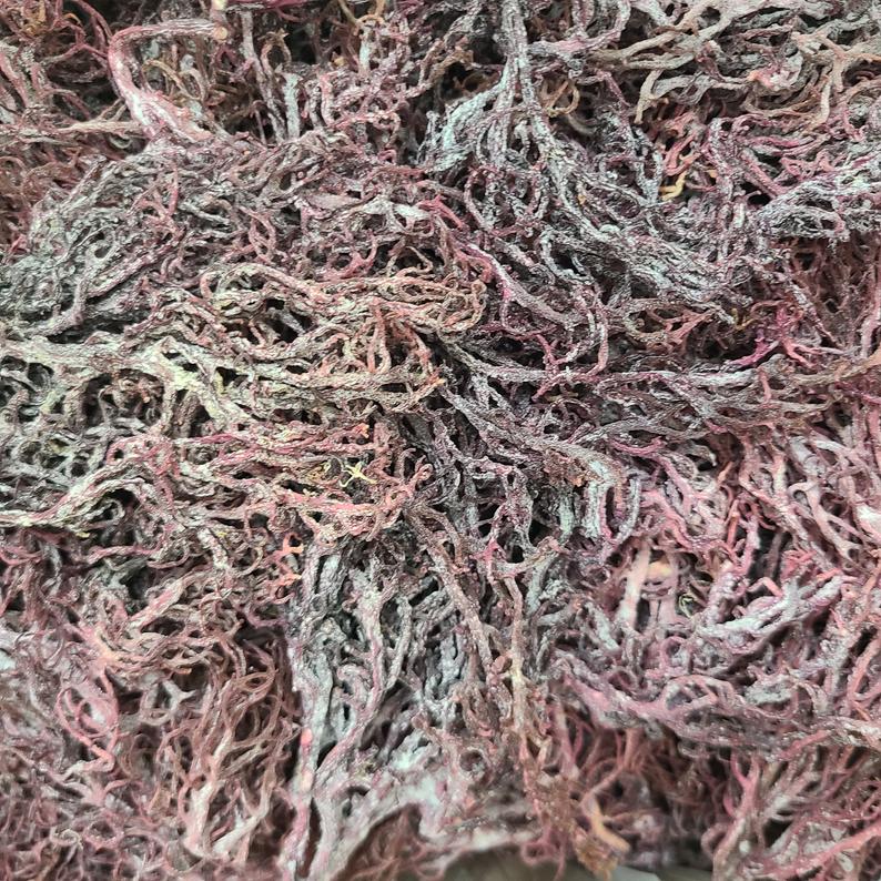 St Lucia Wildcrafted Sea moss