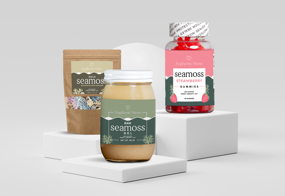 What Happens if You Take Sea Moss Every Day?