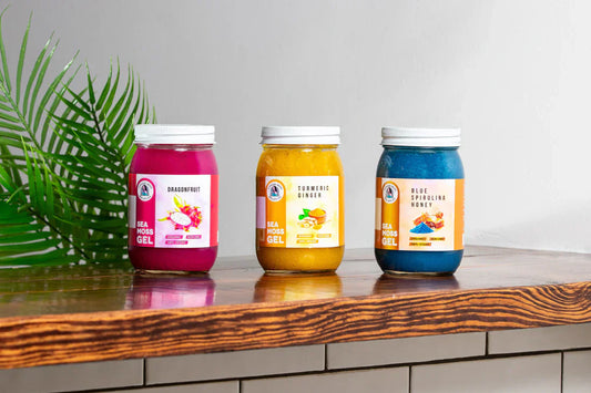 Nourishing from the Inside Out: Sea Moss & Kidney Wellness