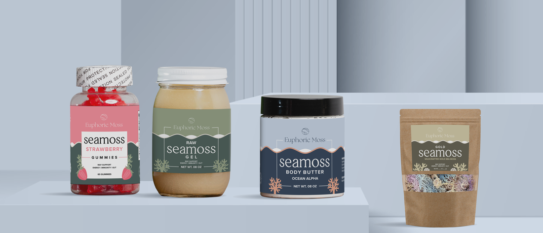 Sea Moss for Immune Support: What You Need to Know This Winter