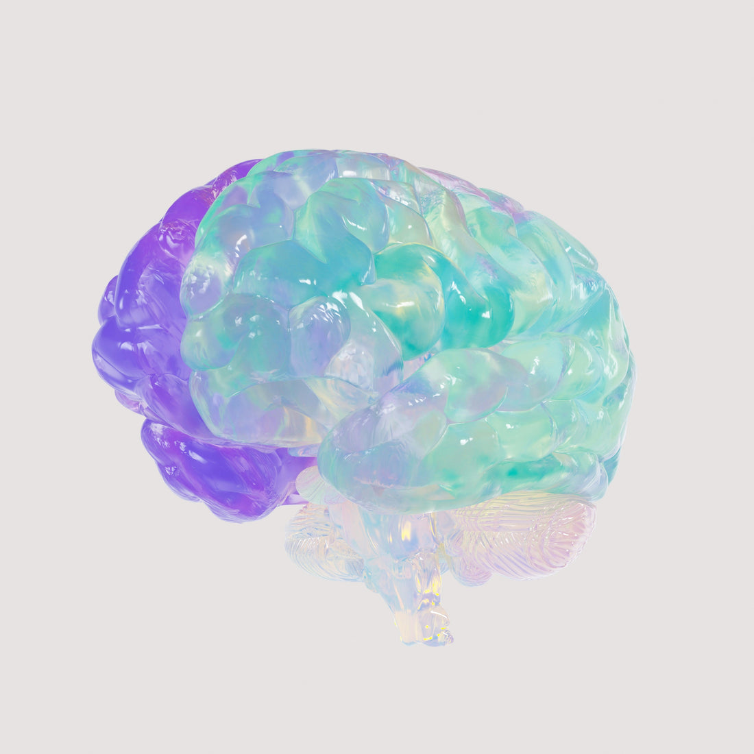 Brain Fog Begone: Nourish Your Mind from Within