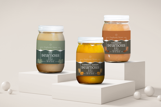 New Year New Me Bundle